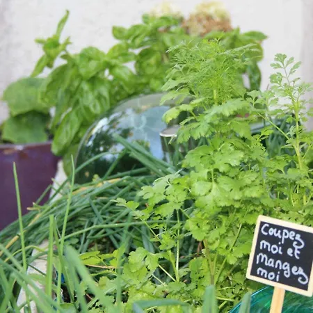 Holiday home En Sales *