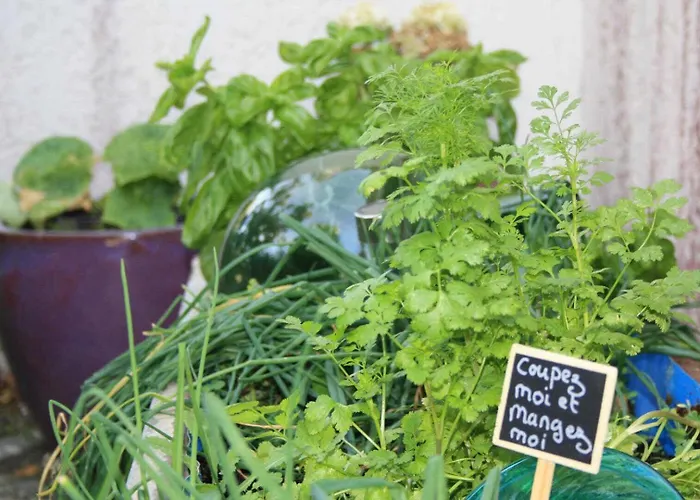 Hébergement de vacances En Sales *