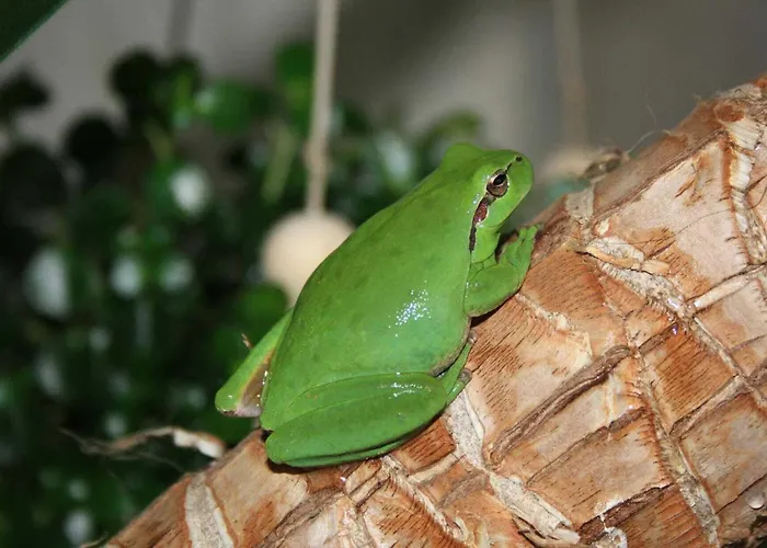 En Sales Hébergement de vacances