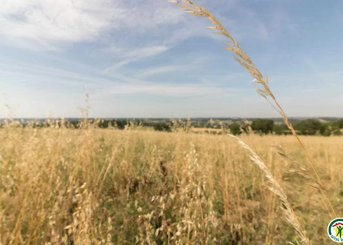 En Sales * Saint-Jean-Lherm