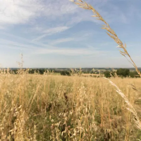 En Sales * Saint-Jean-Lherm